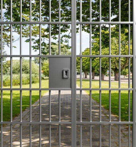 Privacy, no entry concept. View of a green park through a closed metal door with prison bars. The entrance is forbidden. 3d illustration